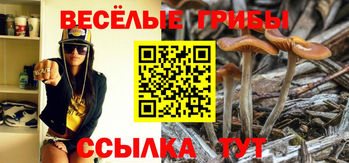 Вольск  Галлюциногенные грибы мухоморы  Вход с VPN  Галлюциногенные грибы прущие грибы 