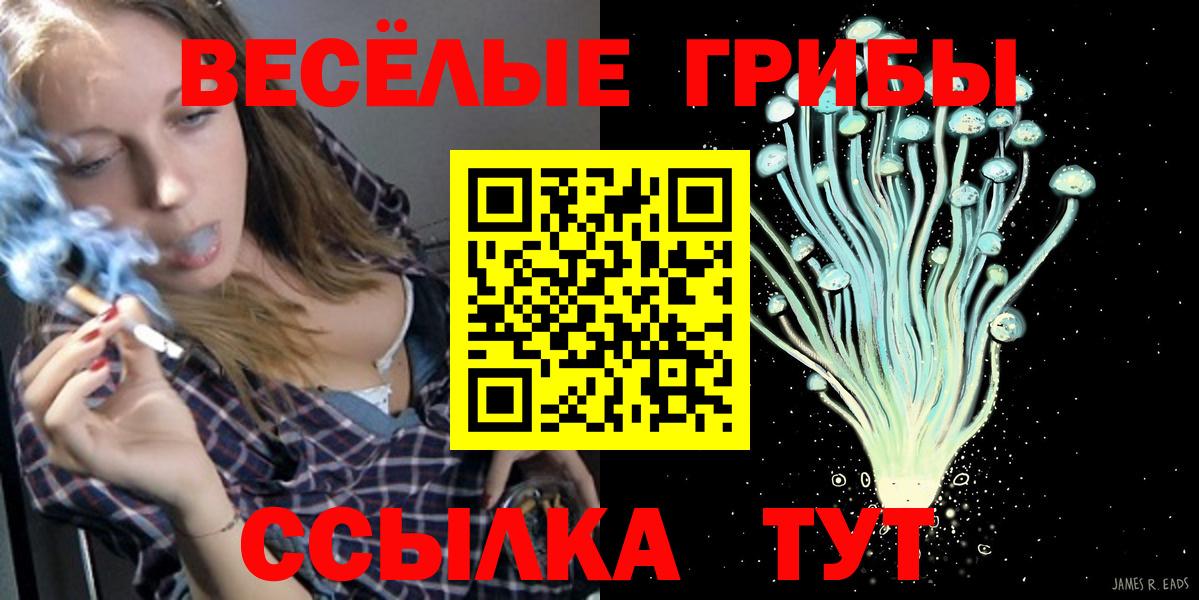 Псилоцибиновые грибы прущие грибы Вольск